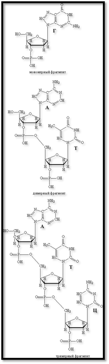: F:\\\\12386791452cf9.gif