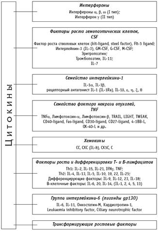 : http://betaleukin.ru/uploads/articles/Cytokine/NewSystem/pic1.gif