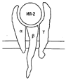 : http://www.immunoanaliz.ru/images/Klinicheskaya%20immunologiya/Sokolov%20E.I.%20Klinicheskaya%20immunologiya%20%28Medicina,%201998%29%28ru%29%2850s%29_html_m75216a28.png